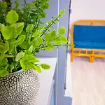 Falk Studio