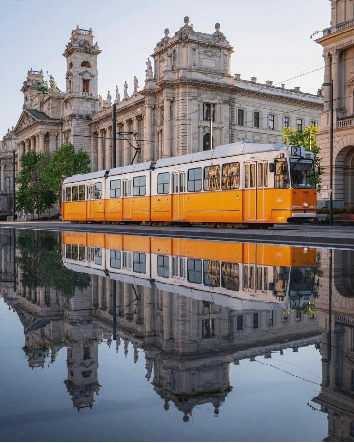 Falk Studio * Budapeszt